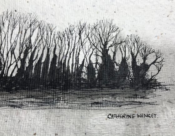 Winter Trees against the Sky in Pen and Ink - Traditional English Landscape -  Flitcham, Norfolk