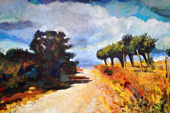 Autumn Road with Olive Trees in Alentejo