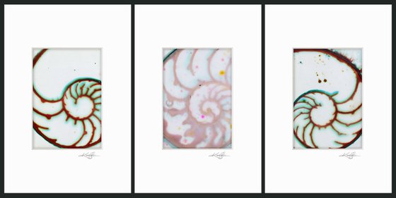 Nautilus Shell Collection 1 - 3 Small Matted paintings by Kathy Morton Stanion