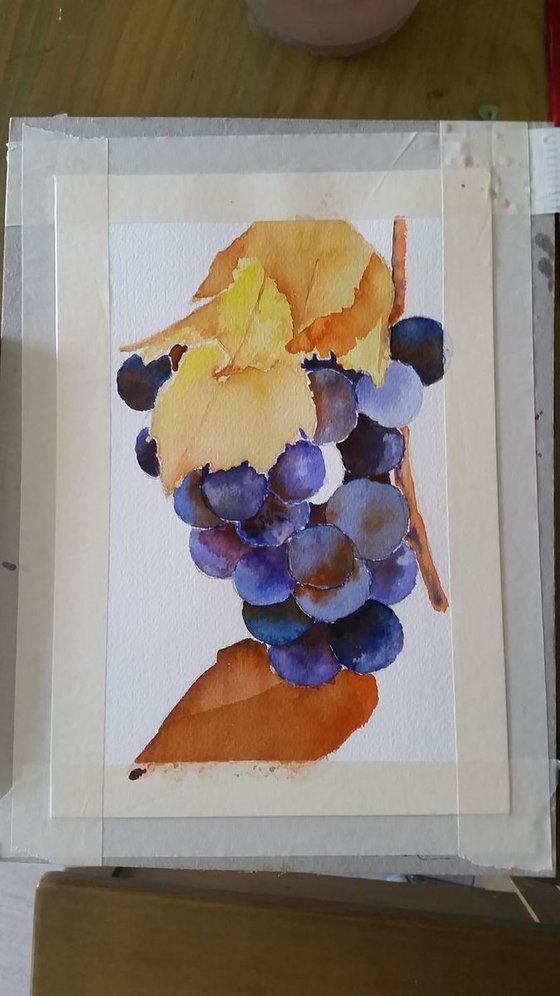 Blue grapes