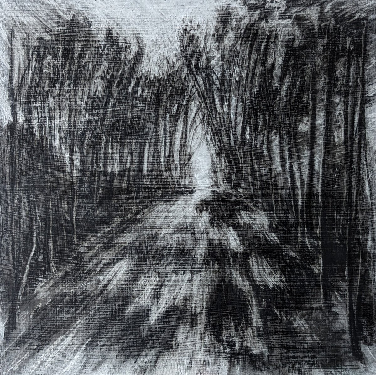 Photorealistic Landscape Charcoal Drawing By Sophie Adair, 12 X 12", Forest Drive, Original Artwork