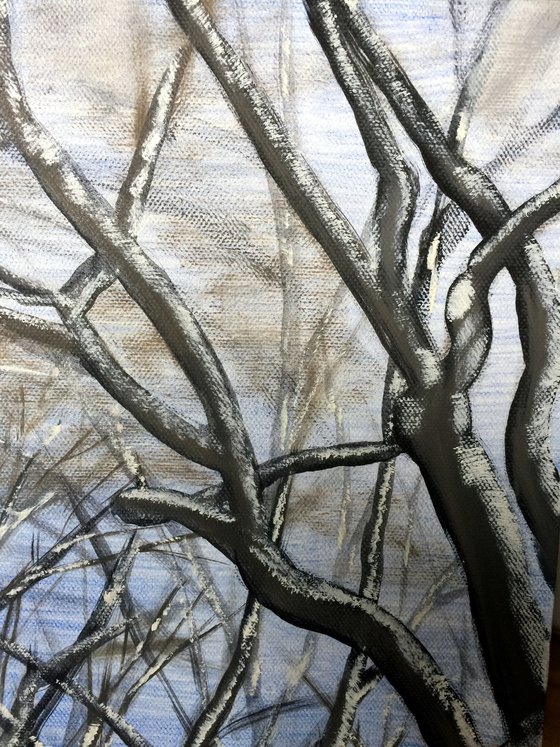 CENTRAL PARK WINTER