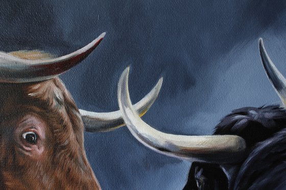Two bulls