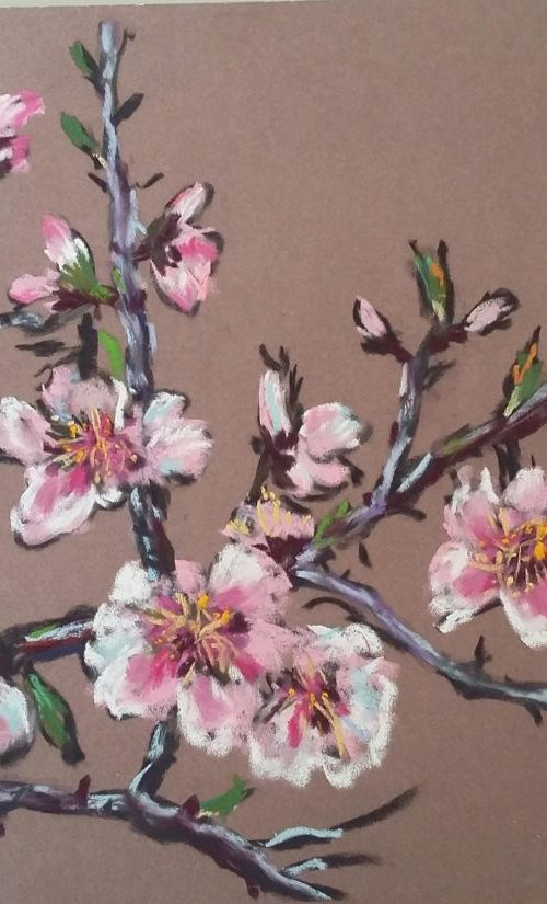 Almond tree flowers. by Silvia Flores Vitiello