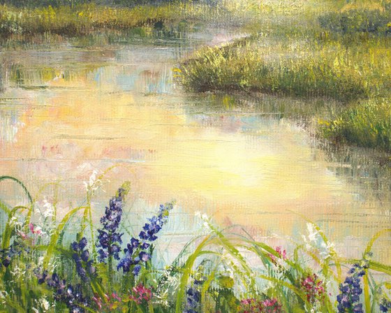 Sunset at the bluebonnet field