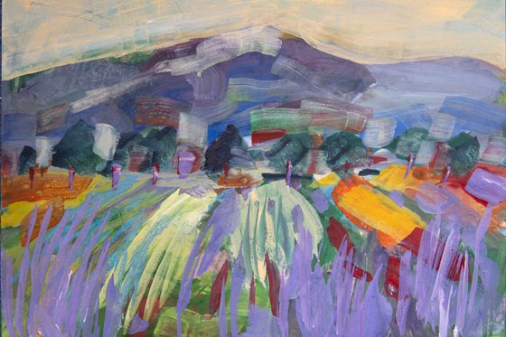 Lavender Fields