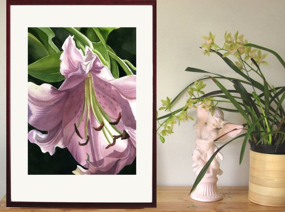 spring lily watercolor floral