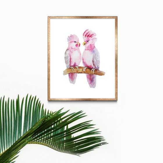 Pink parrots cockatoo bird artwork, watercolor illustration