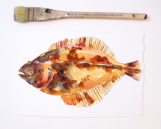 Dab Fish Watercolour
