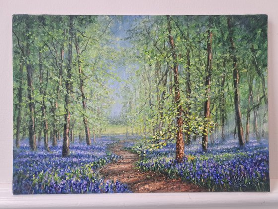 A Walk In The Bluebell Woods