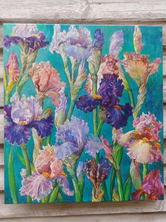 Irises.