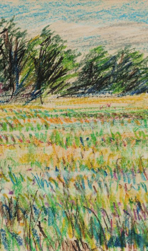 Meadows Landscape, 2017, oil pastel on paper, 21 x 29,7 cm by Alenka Koderman