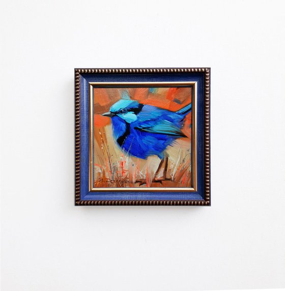Fairywren bird painting, Small painting of bird in frame, Pocket bird art painting, Blue bird art 4x4