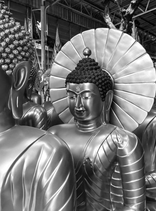 Buddha line up by Sumit Mehndiratta
