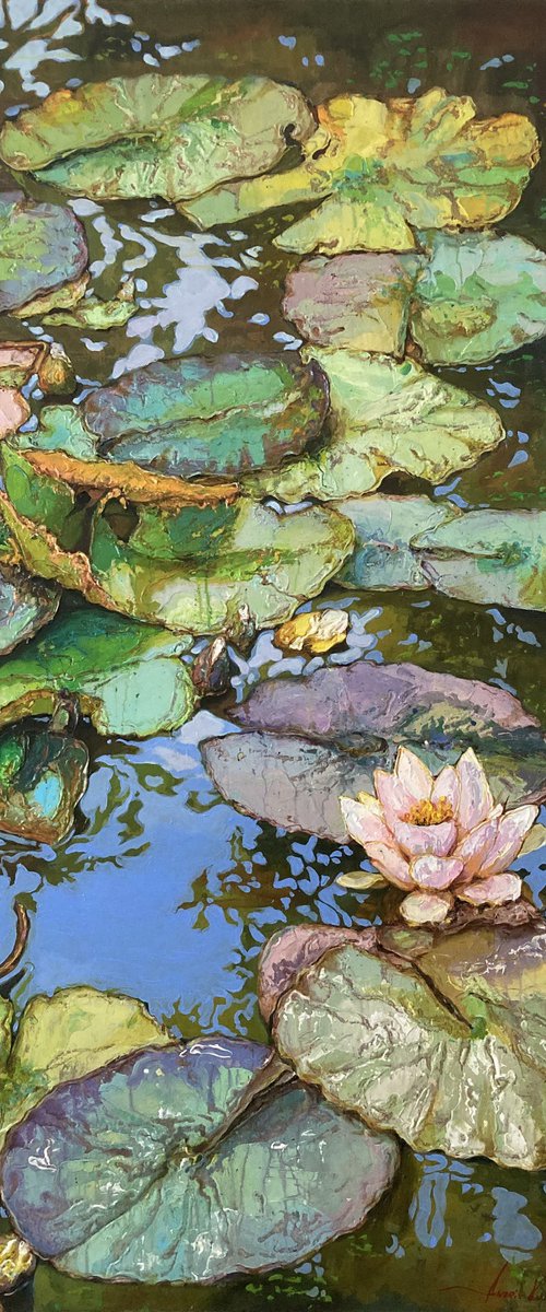 Water lilies / for YEKATERINA / by Andriy Vutyanov