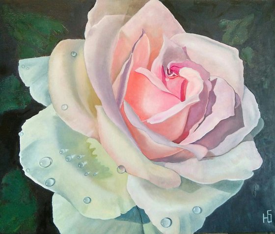 Rose, 60x50 cm, ready to hang.