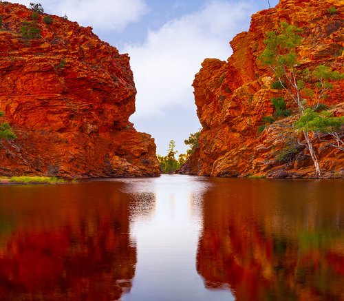 Outback Oasis by Nick Psomiadis