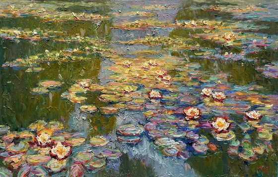Water lilies in the pond
