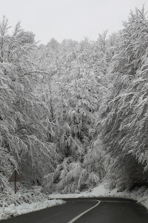 snow on road by Nikola Lav Ralevic