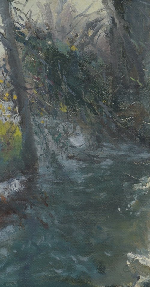 Frosty Morning, River Windrush by Alex James Long