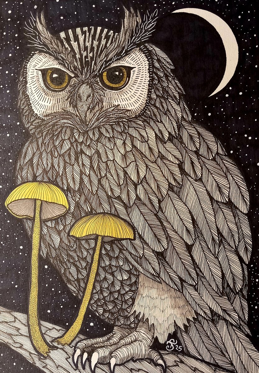 Illustrative Ink Drawing , Night Owl By Terri Smith, 12 X 16, Artwork For Sale On Artfinder