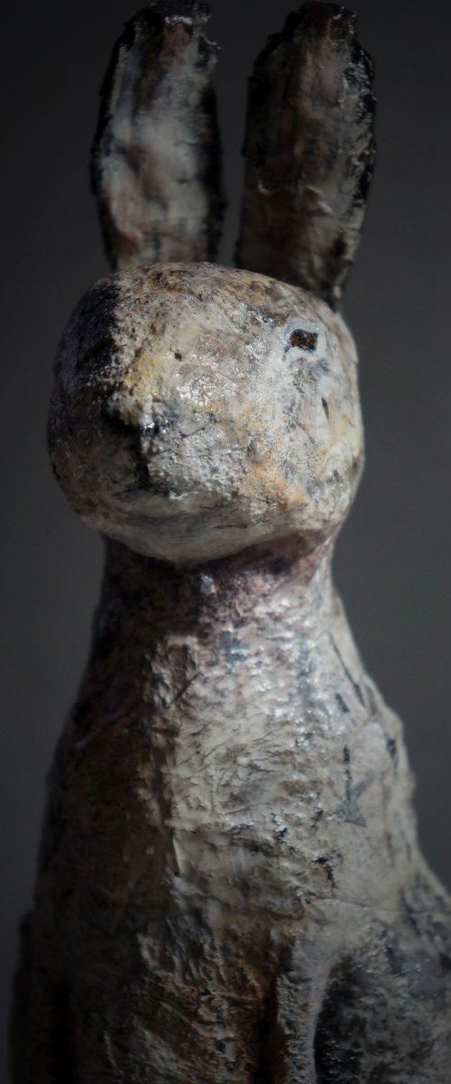 Mountain Hare by Victoria Lucy Williams