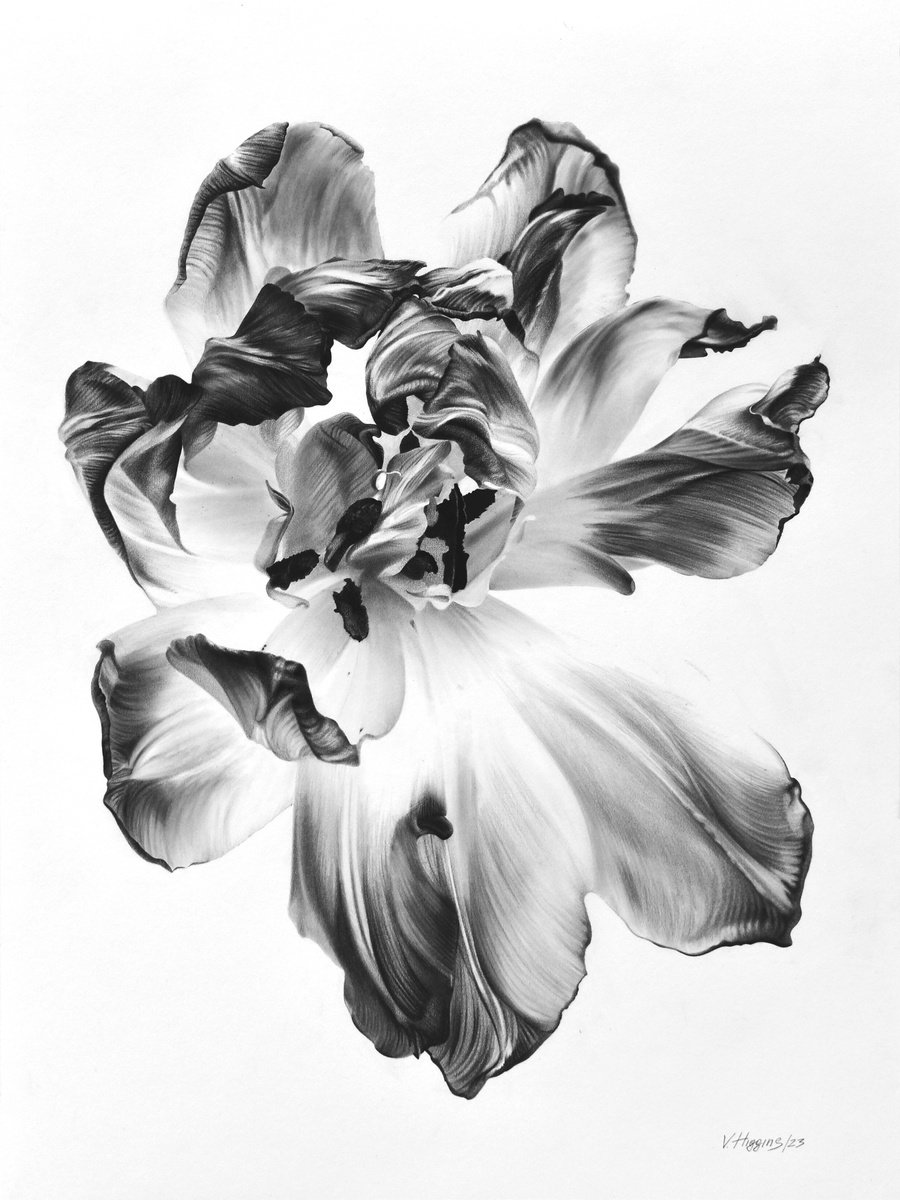 Tulip. by Vera Higgins
