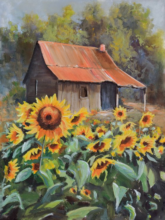 Old cabin with sunflower yard