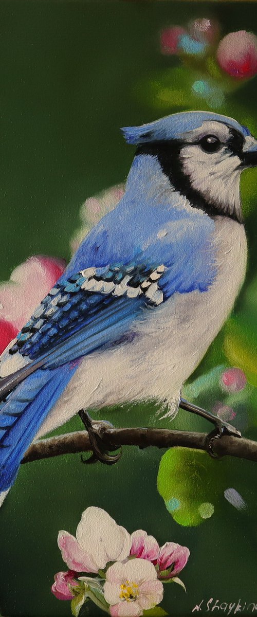 Blue Bird and Flowers, Male Jay, Realistic Animal by Natalia Shaykina