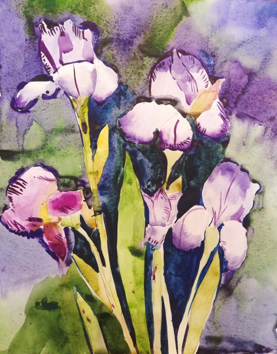 Irises by Nastasia Chertkova