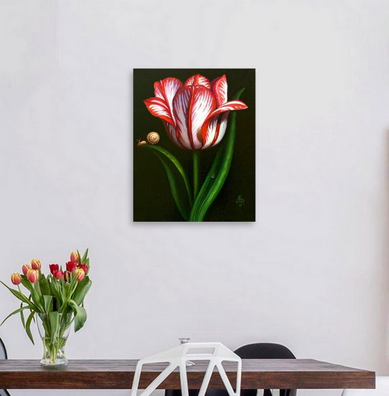 Tulip and snail