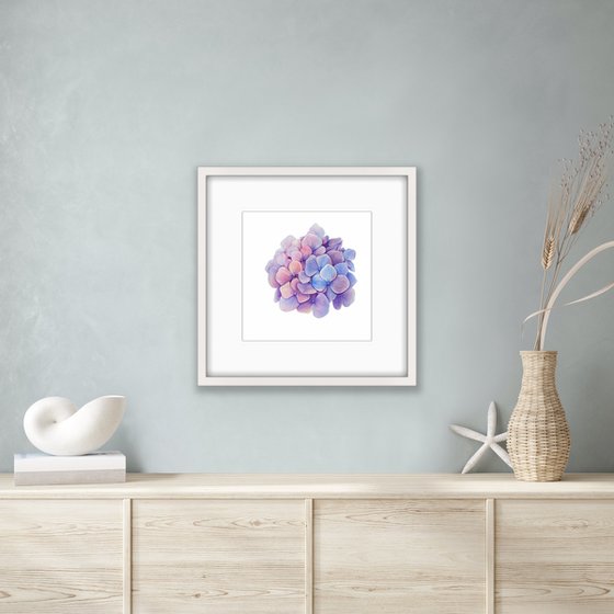 Hydrangea. Original watercolor artwork.