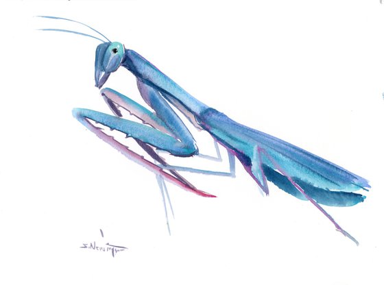 Blue Praying Mantis