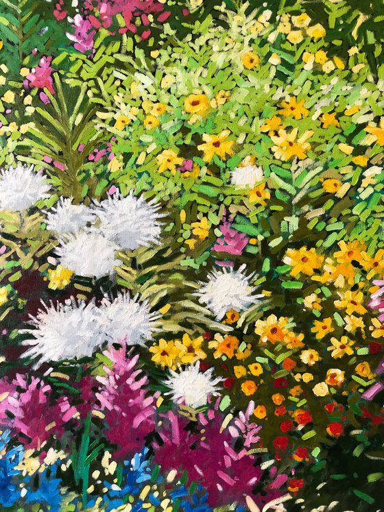 Colorful flowers