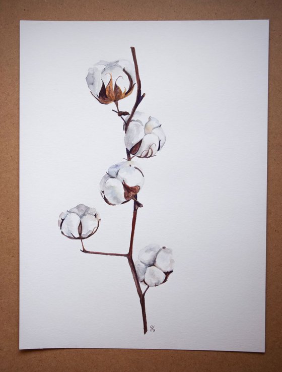 Set of 2 COTTON bolls watercolor paintings, Flowers abstract, Shabby Chic wall art