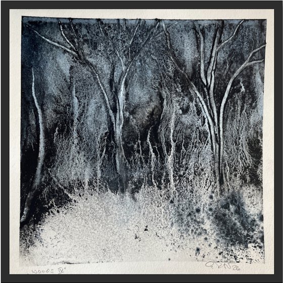Woods IV 2026
