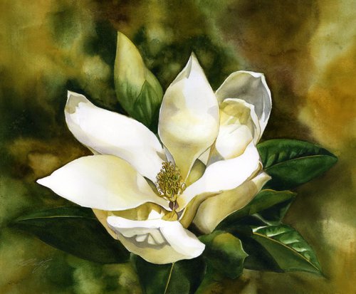 scent of the magnolia by Alfred  Ng