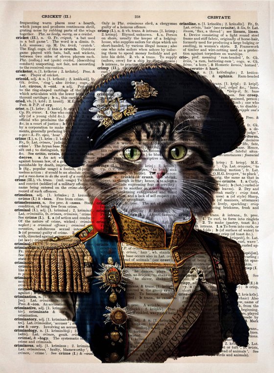 Military Dressed Kitty