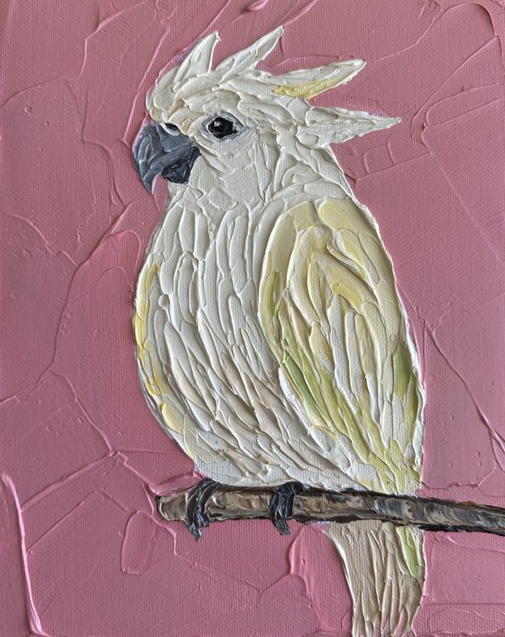 Cockatoo