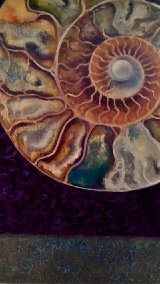 Ammonite Magenta