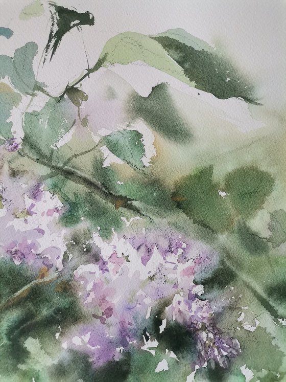 Wind in the lilac bushes #2