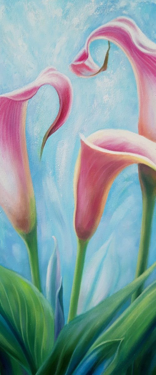 "Calla Lilies", oil floral painting, flowers art by Anna Steshenko