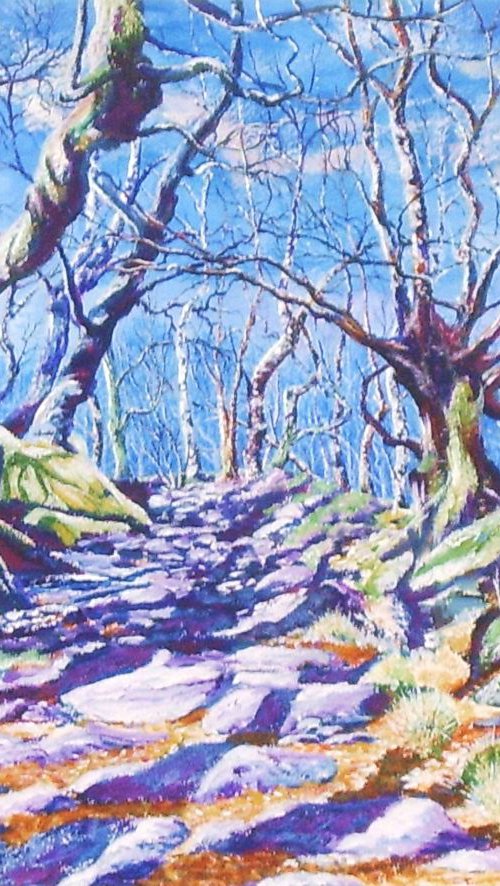 Padley Gorge Light and Shadow by Max Aitken