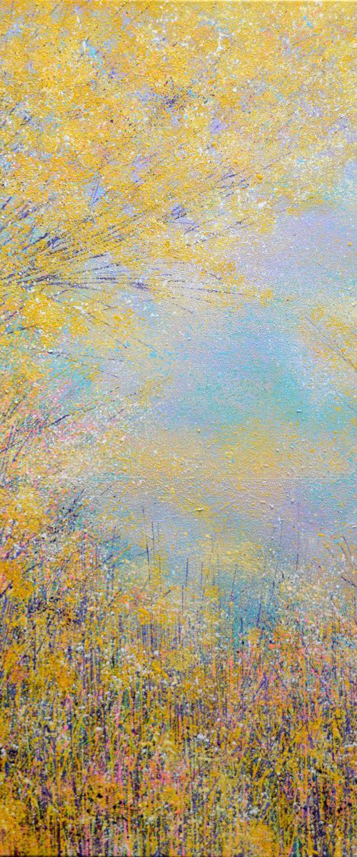 Early morning by the river by Marc Todd