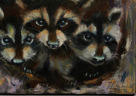 Raccoon Family