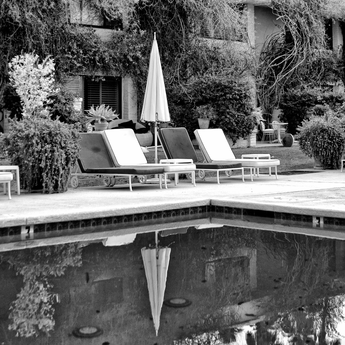 Impressionistic Cityscapes Photograph By William Dey, 22 X 22", After The Wind Palm Springs Ca, Original Artwork