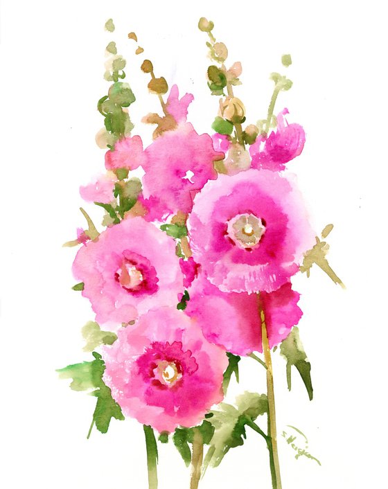 Hollyhock, Pink flowers