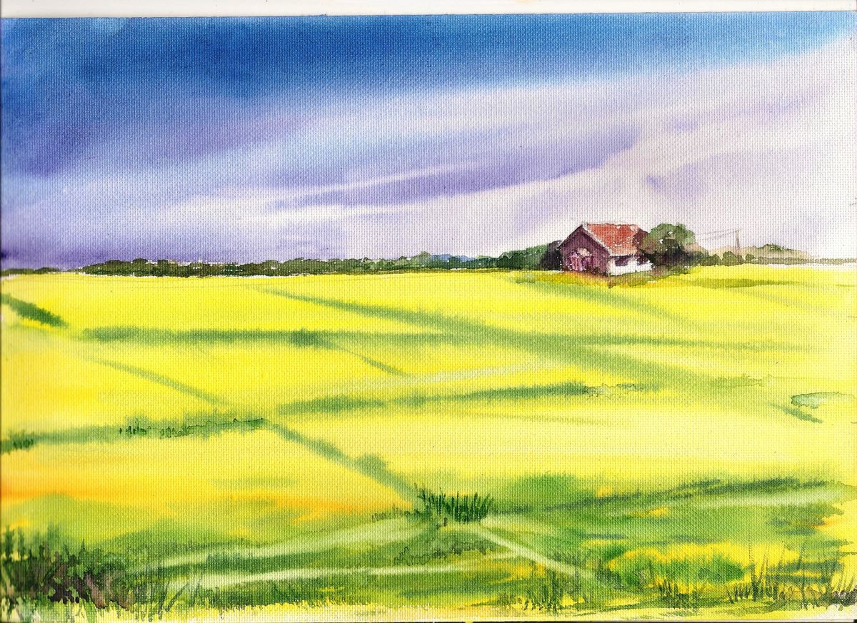 Watercolor Mustard fields.11.75x8.25 by Asha Shenoy