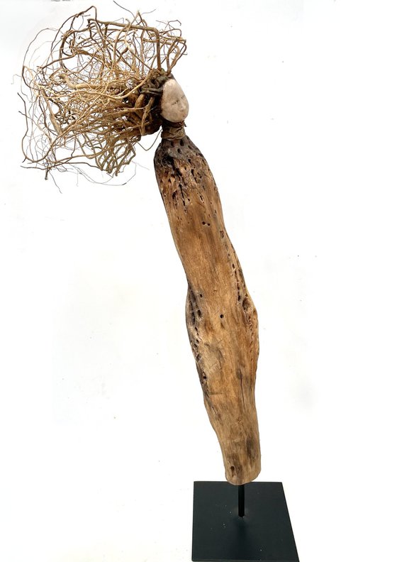 Dryad, Ostréïdes series