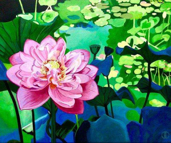 Lotus Blossom